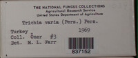 Trichia varia image